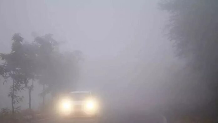 Fog Fog