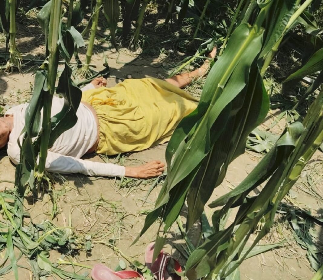 Farrukhabad
