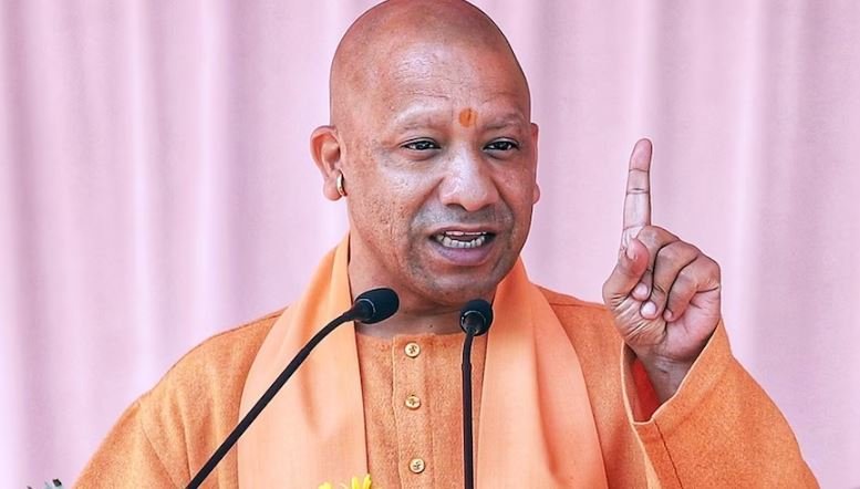 Yogi