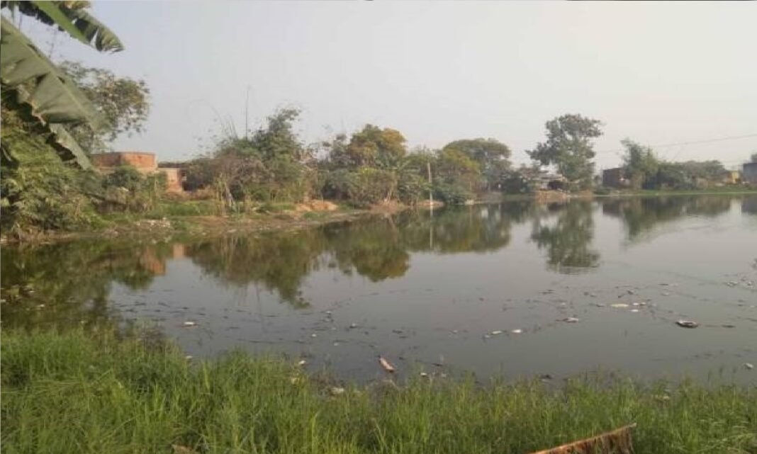 pond