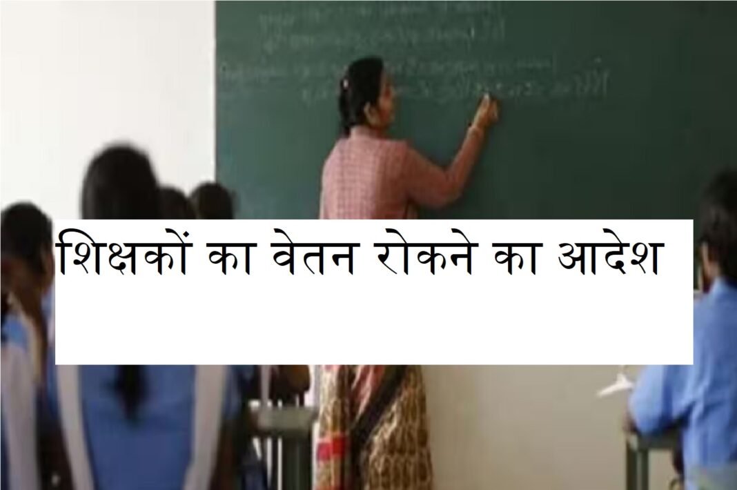 teachers
