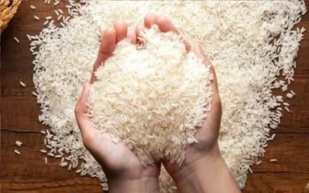rice