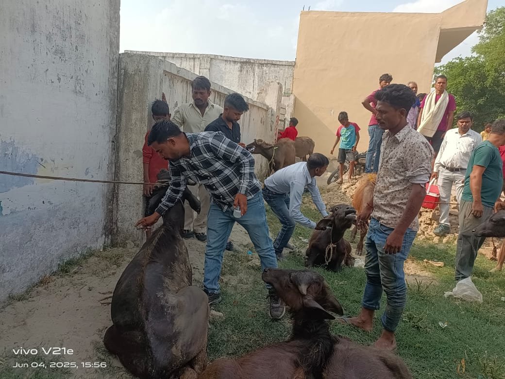 Gau Raksha Dal