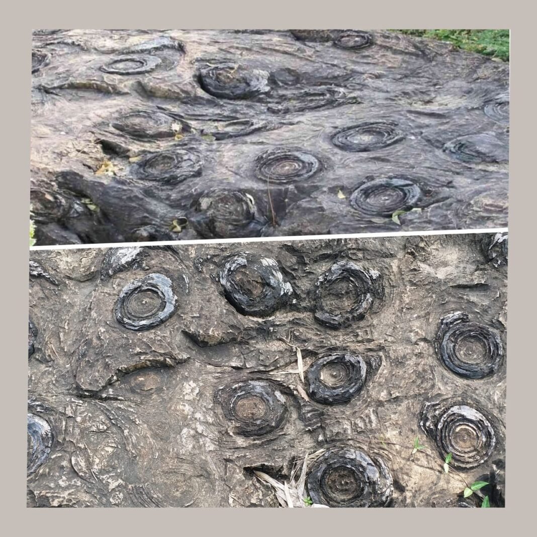 Sonbhadra