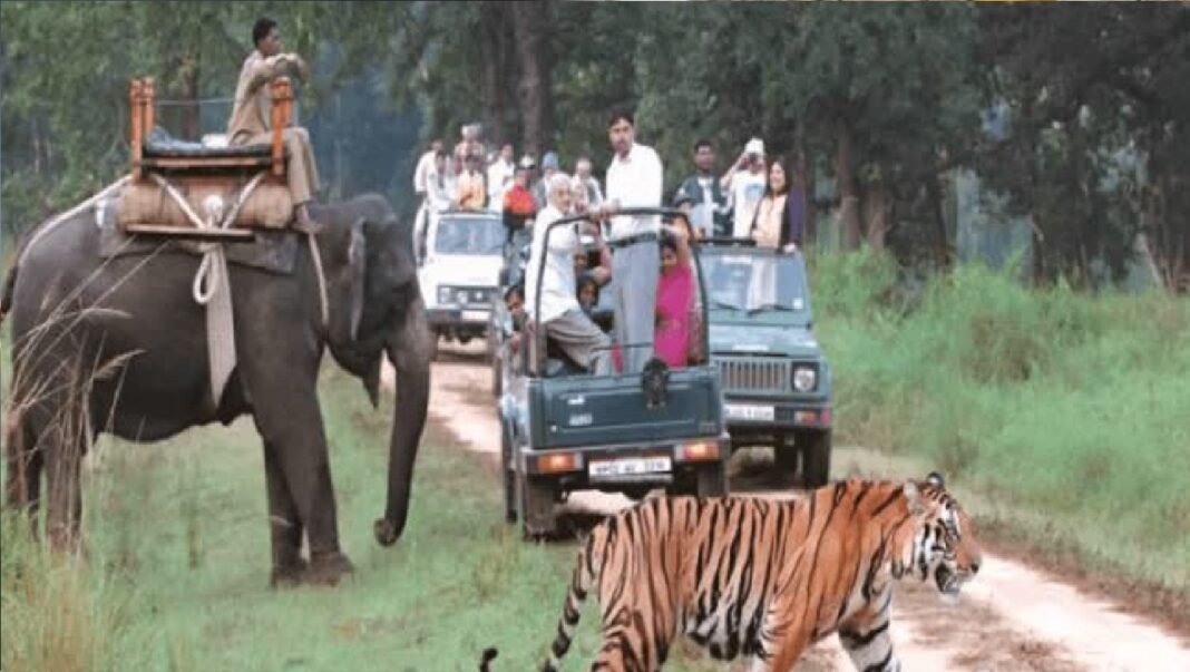 Tiger Reserve