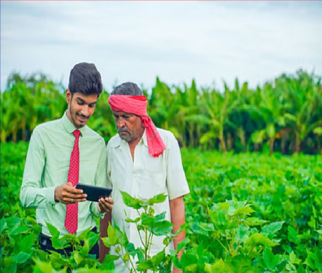 Farmers