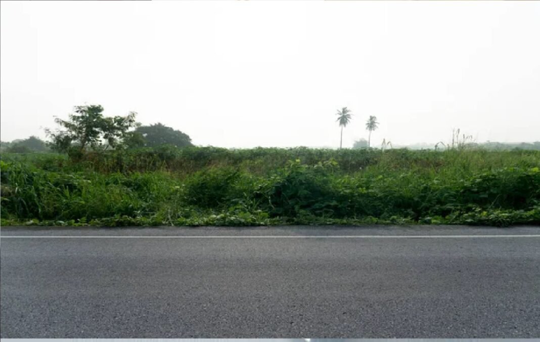 Road