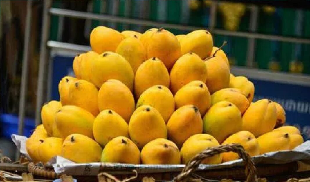 Mango