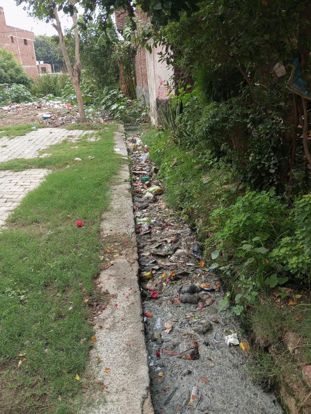 drains