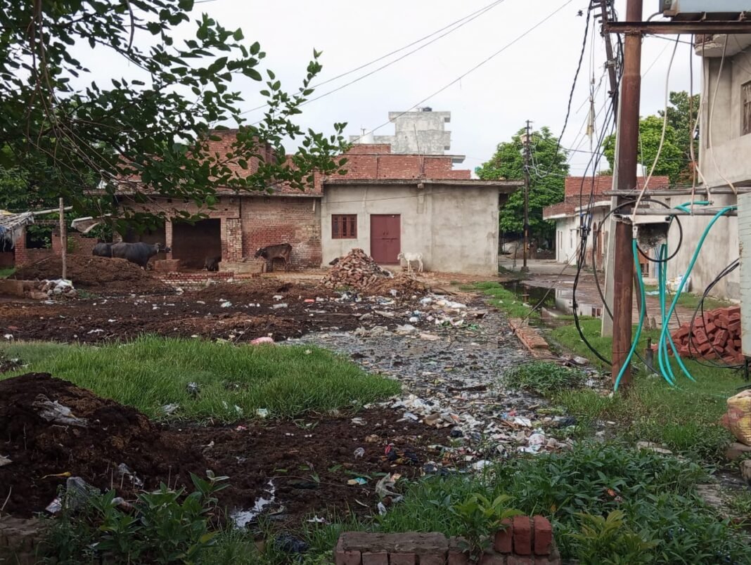 Awas Vikas Colony
