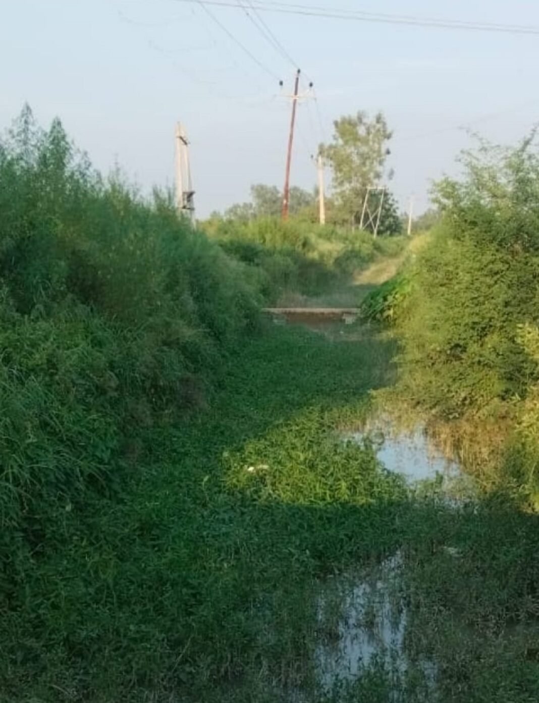 Lower Ganga canal