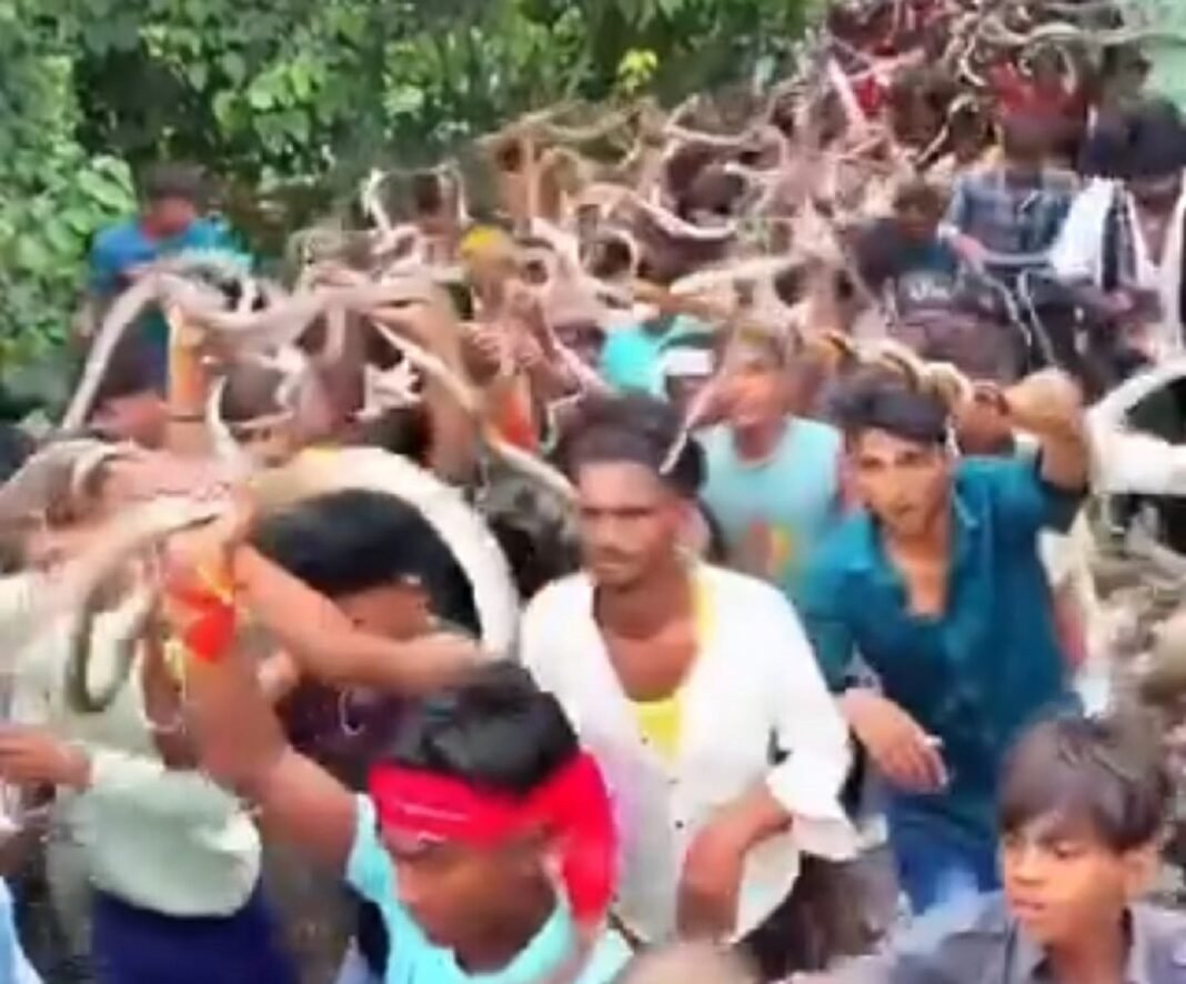 Nag Panchami