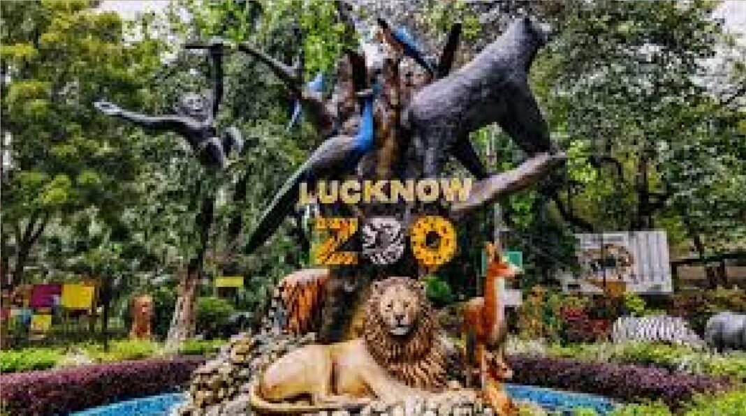 zoo