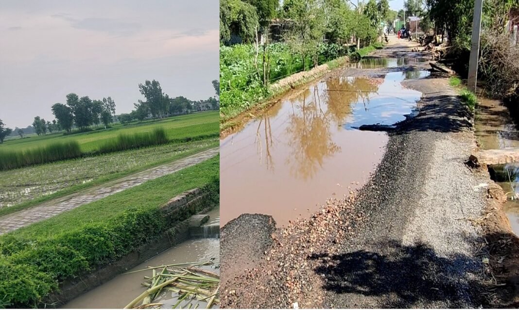 waterlogging