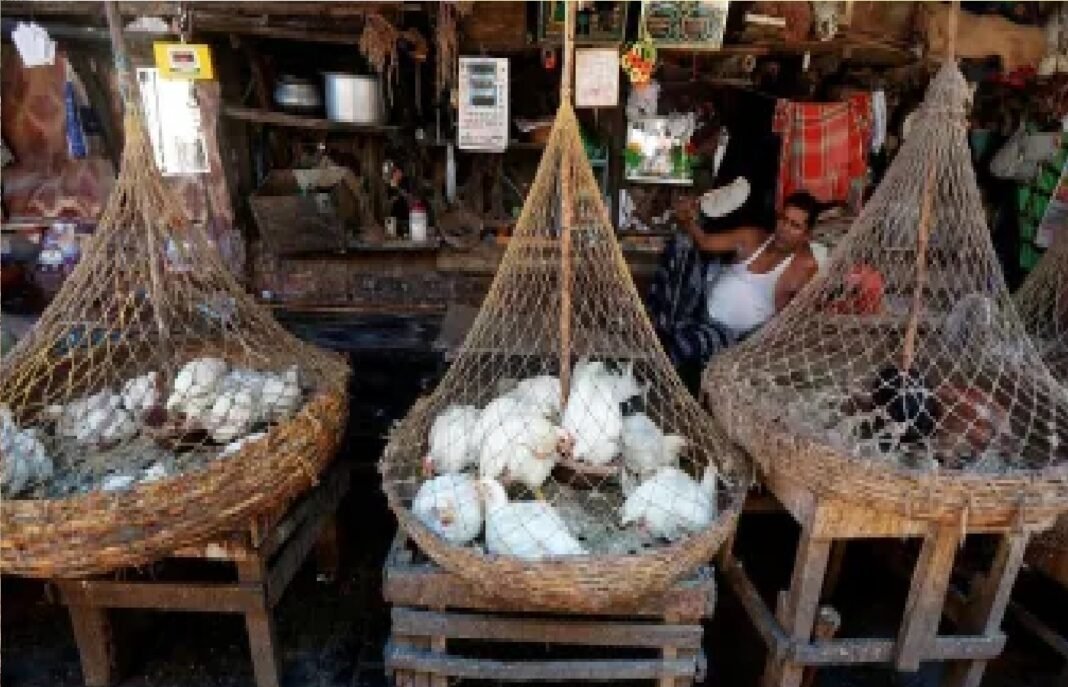 Illegal meat trade