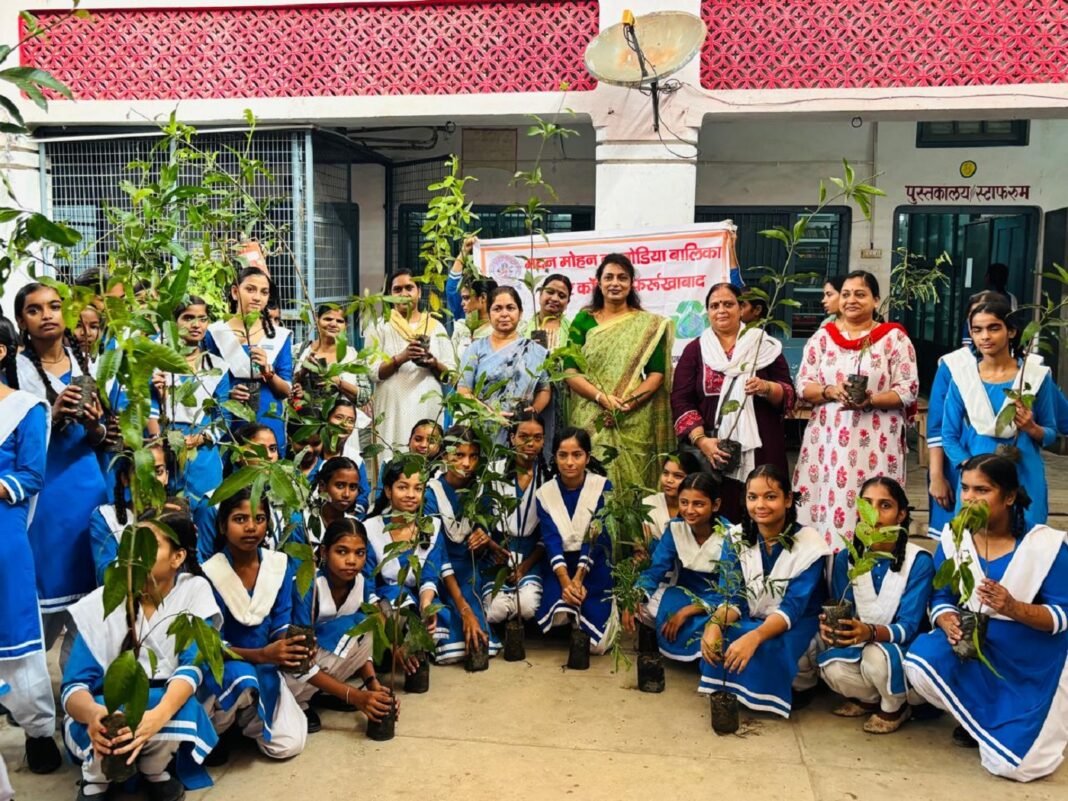 tree plantation