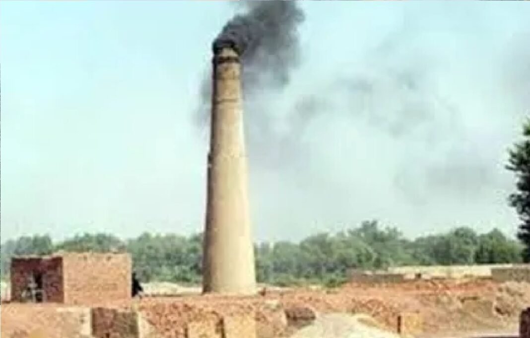 illegal kilns