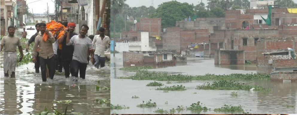 Amarpur Madia