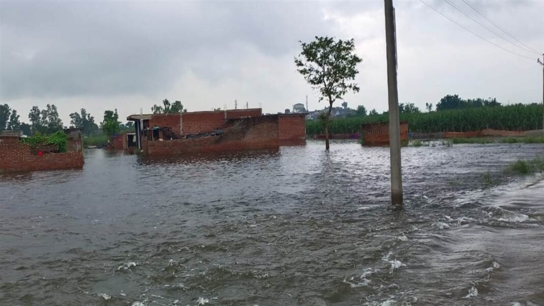 Ganga erosion