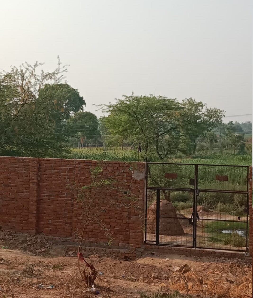 Government land