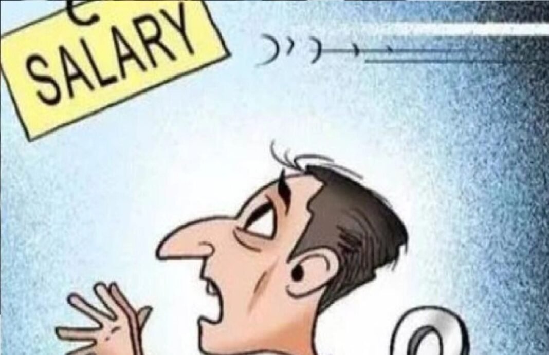 No salary