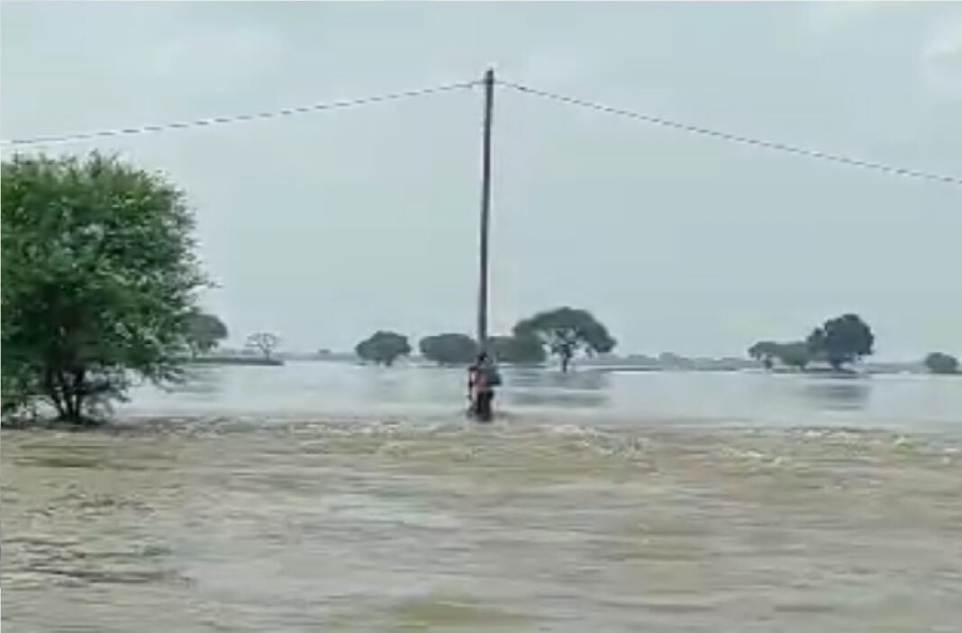 electricity