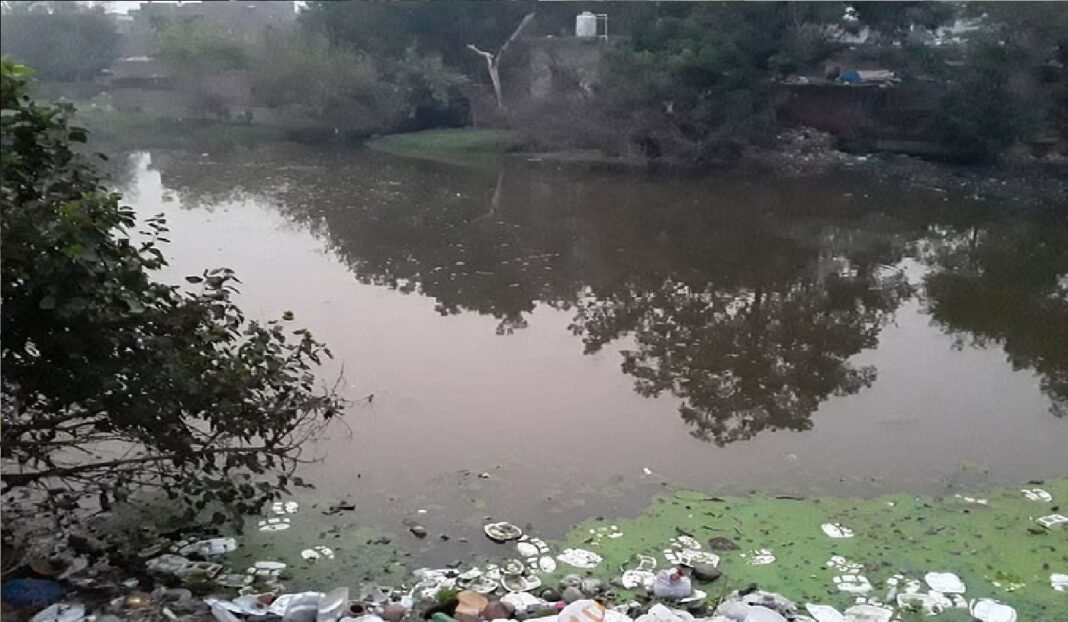 pond