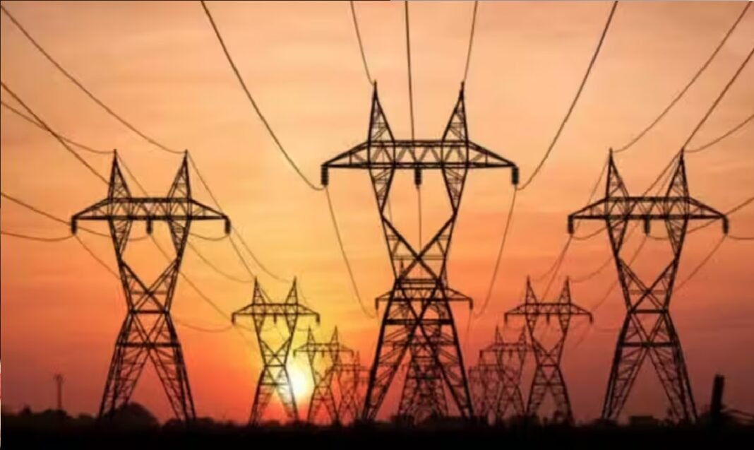 electricity privatization