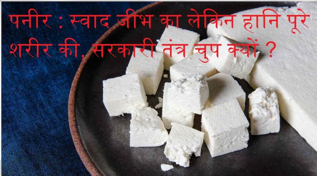 Paneer