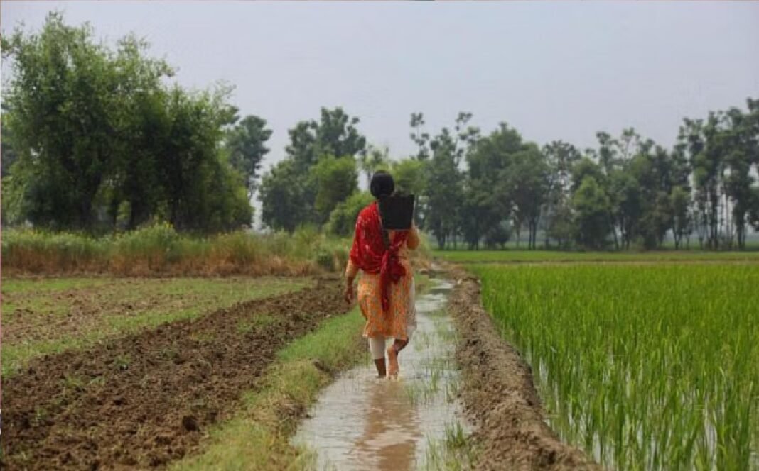 जमीन पर फसल नहीं उगाने दे रहे