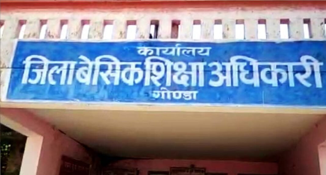 Basic Education Officer