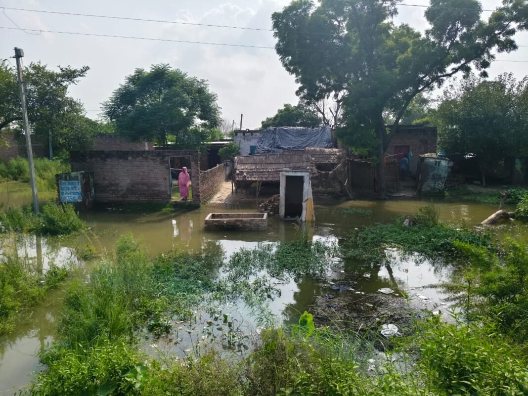 water level