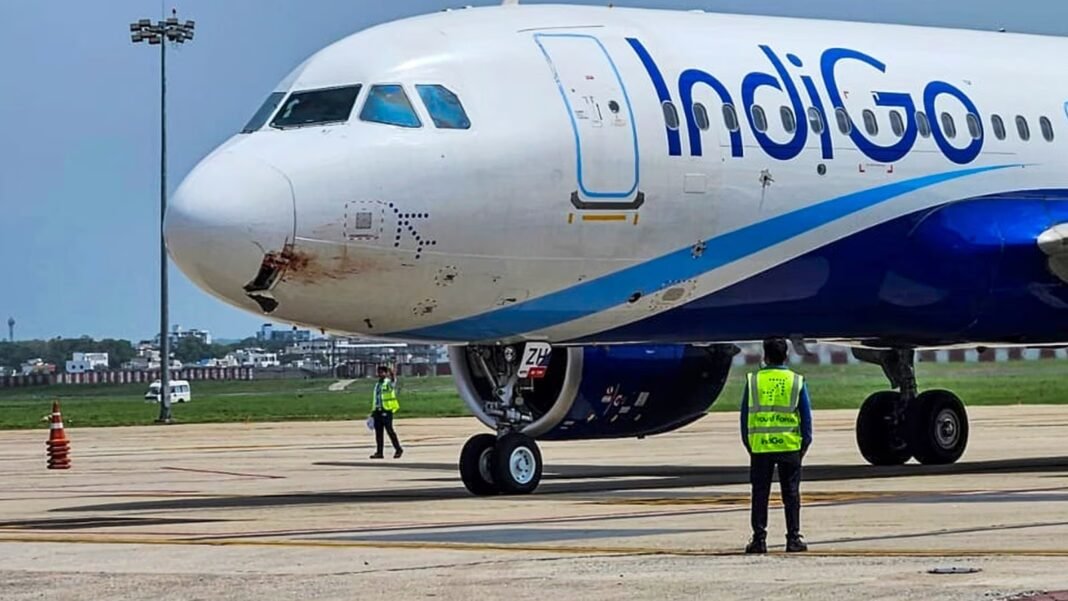 Indigo Airlines