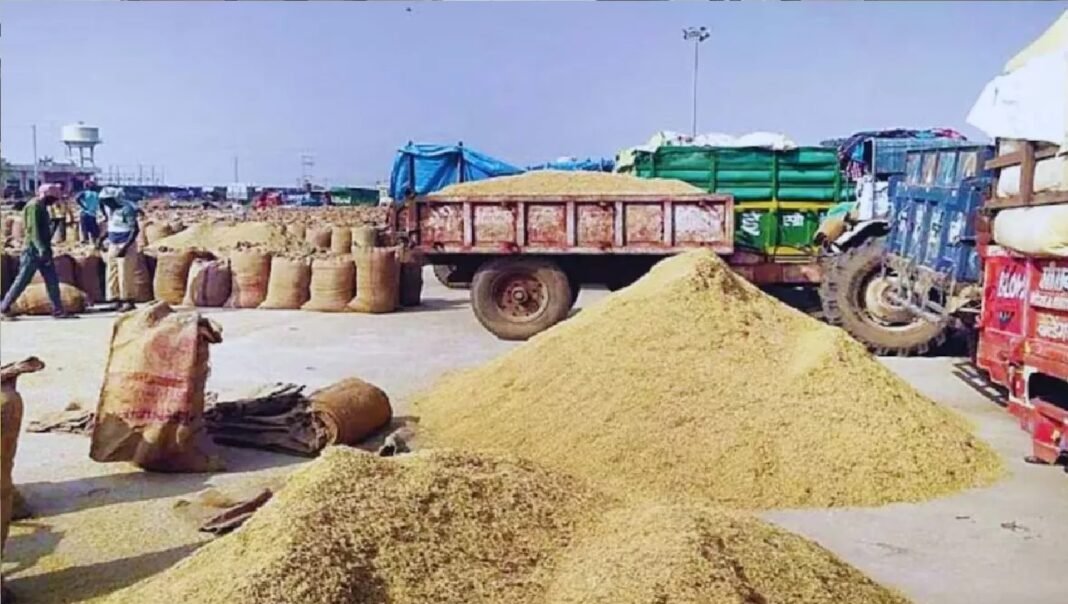Shree Anna Coarse Grains