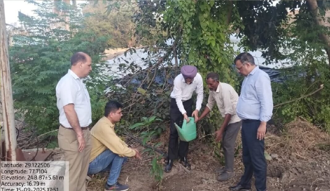 tree plantation campaign tree plantation campaign