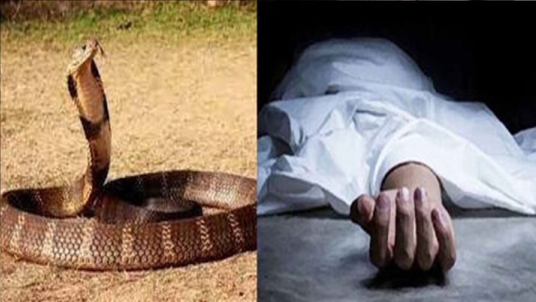 किसान को सांप ने डसा