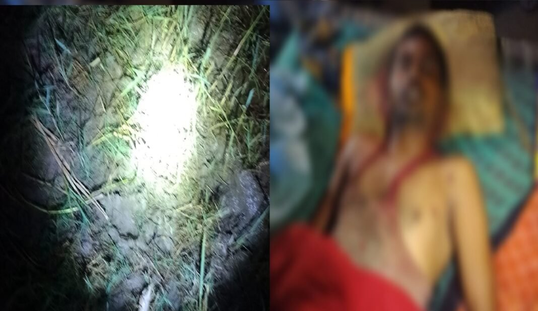 तेंदुए के हमले में एक युवक की मौत