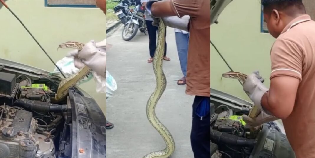 रेस्क्यू टीम ने निकाला