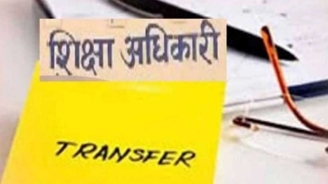 Basic Education Officer