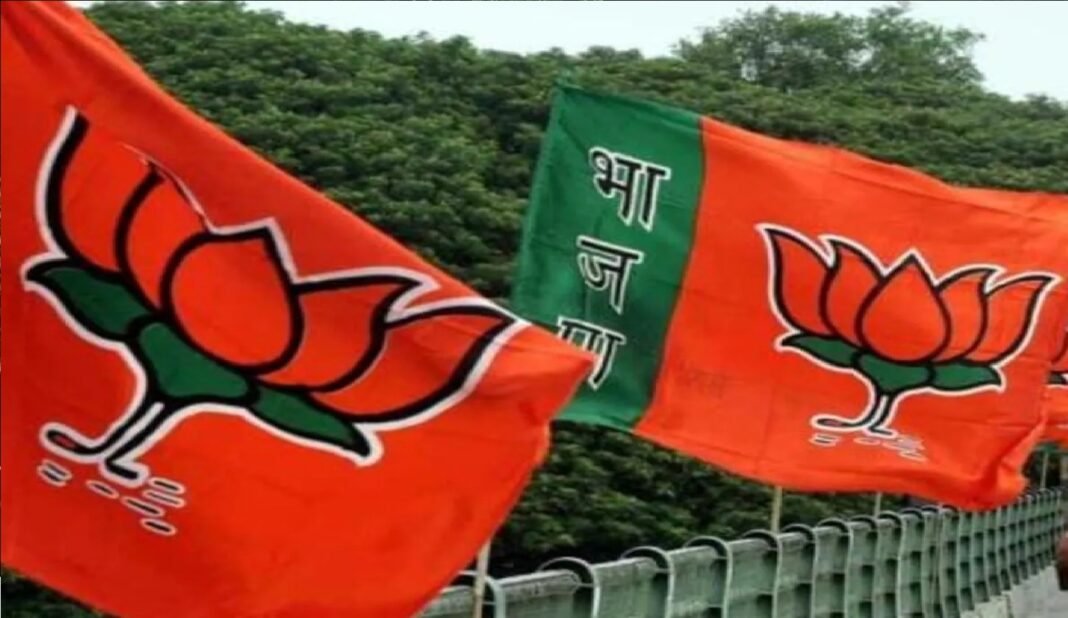 BJP members