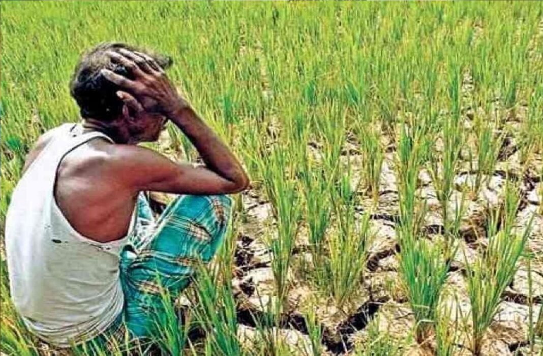 बारिश की आशंका ने बढ़ाई चिंता