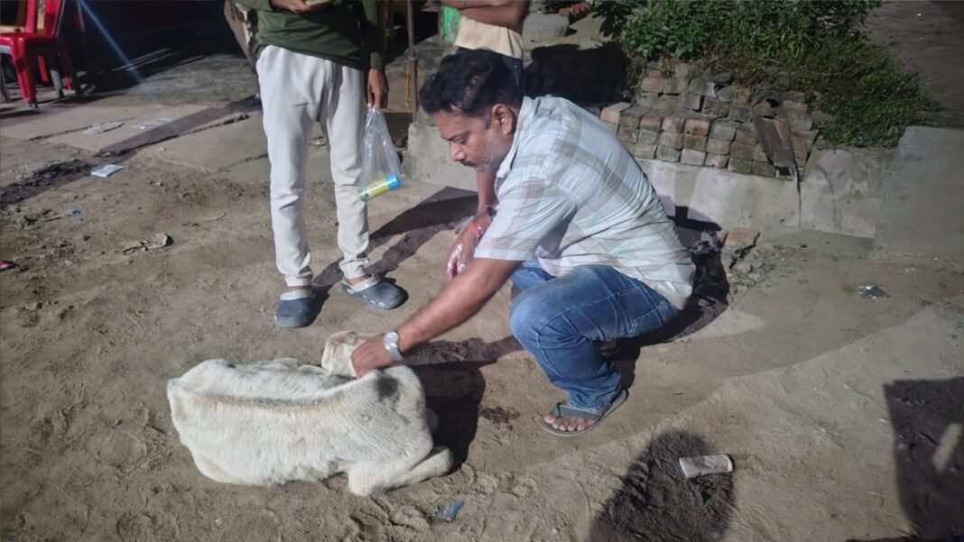 समाजसेवी दिवाकर बाजपेई ने संभाली जिम्मेदारी