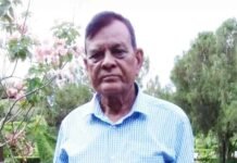 कहानी: यादों की छांव में