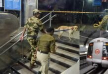 एटीएस की बड़ी कार्रवाई: डॉक्टर आरिफ हिरासत में, जम्मू-कश्मीर से जुड़ा कनेक्शन सामने आया