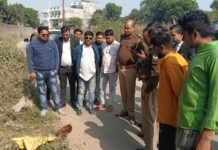 गाय के बछड़े का मिला कटा हुआ सिर, हडक़ंप, हिंदू संगठनों में रोष, कार्रवाई की मांग पर अड़े पदाधिकारी