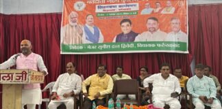 मतदाता पुनरीक्षण को लेकर भाजपा विधानसभा सभा सदर की कार्यशाला आयोजित