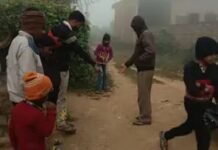 50 हजार की भैंस लोडर में लादकर ले गए चोर