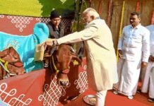 पोंगल उत्सव में शामिल हुए पीएम मोदी, कहा– पोंगल वैश्विक पर्व, तमिल संस्कृति पूरे भारत की साझा धरोहर