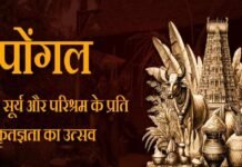 पोंगल: प्रकृति, परिश्रम और कृतज्ञता का उत्सव