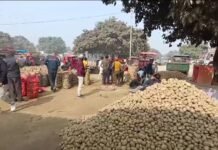 आलू आढ़ती एसोसिएशन बना मज़ाक, तीन-तीन अध्यक्षों की ताजपोशी से गरिमा तार-तार